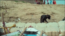 Ram Bhavan - 31st January 2025